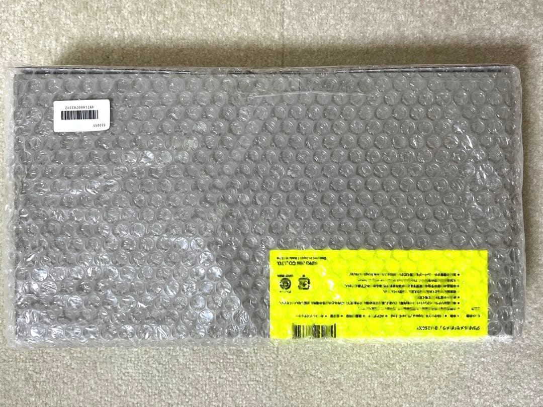 限定 キングジム ポメラDM250XY Crystal Neon Yellow