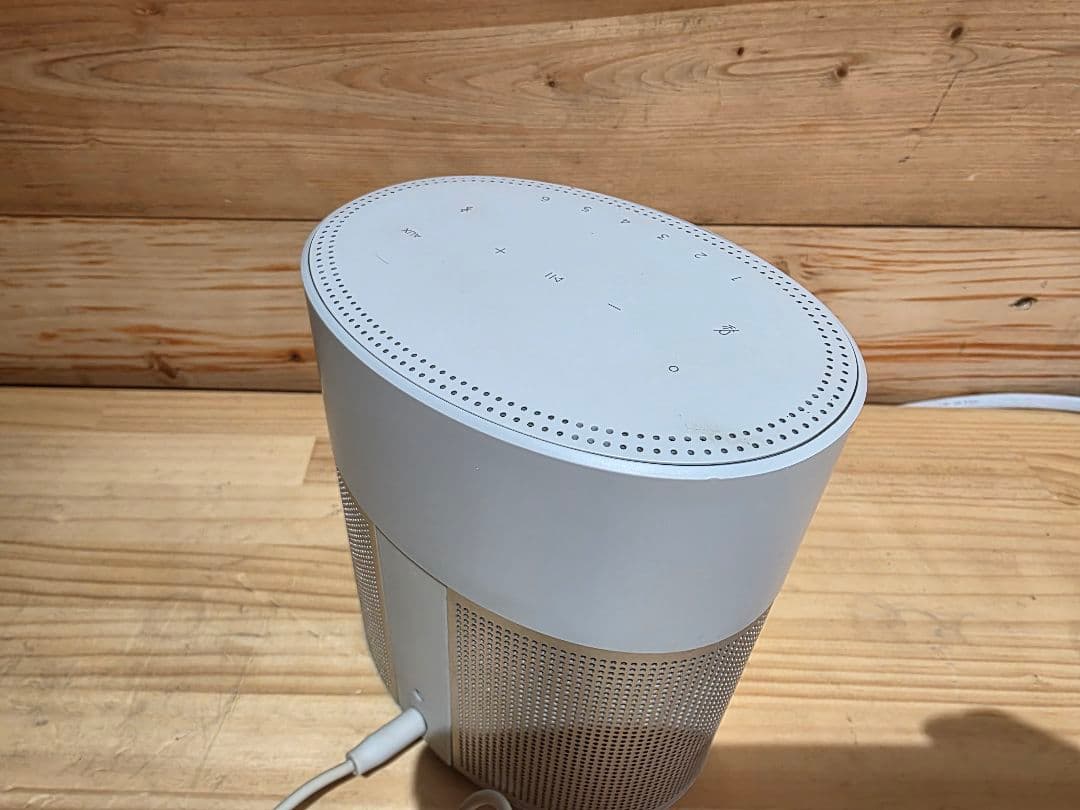 スピーカー・ウーファー Bose  speaker 300 SINGLE LUX SLV