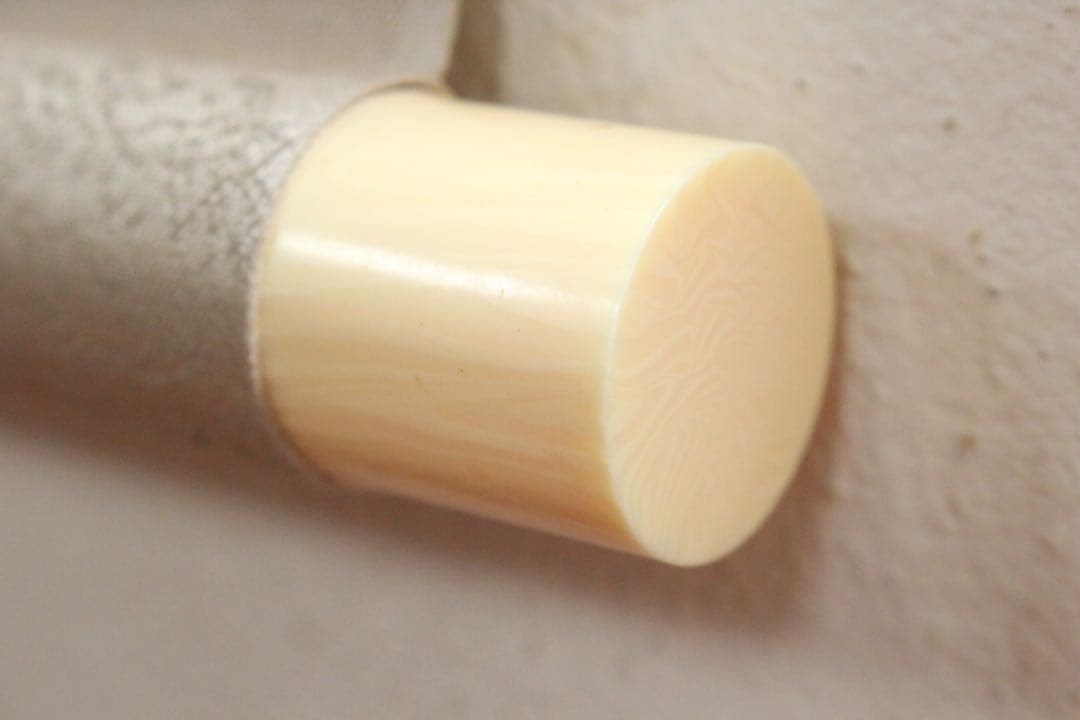 No5415 掛軸　佐々木美山　白蛇図　絹本着色　合箱　日本画　古美術　送料無料