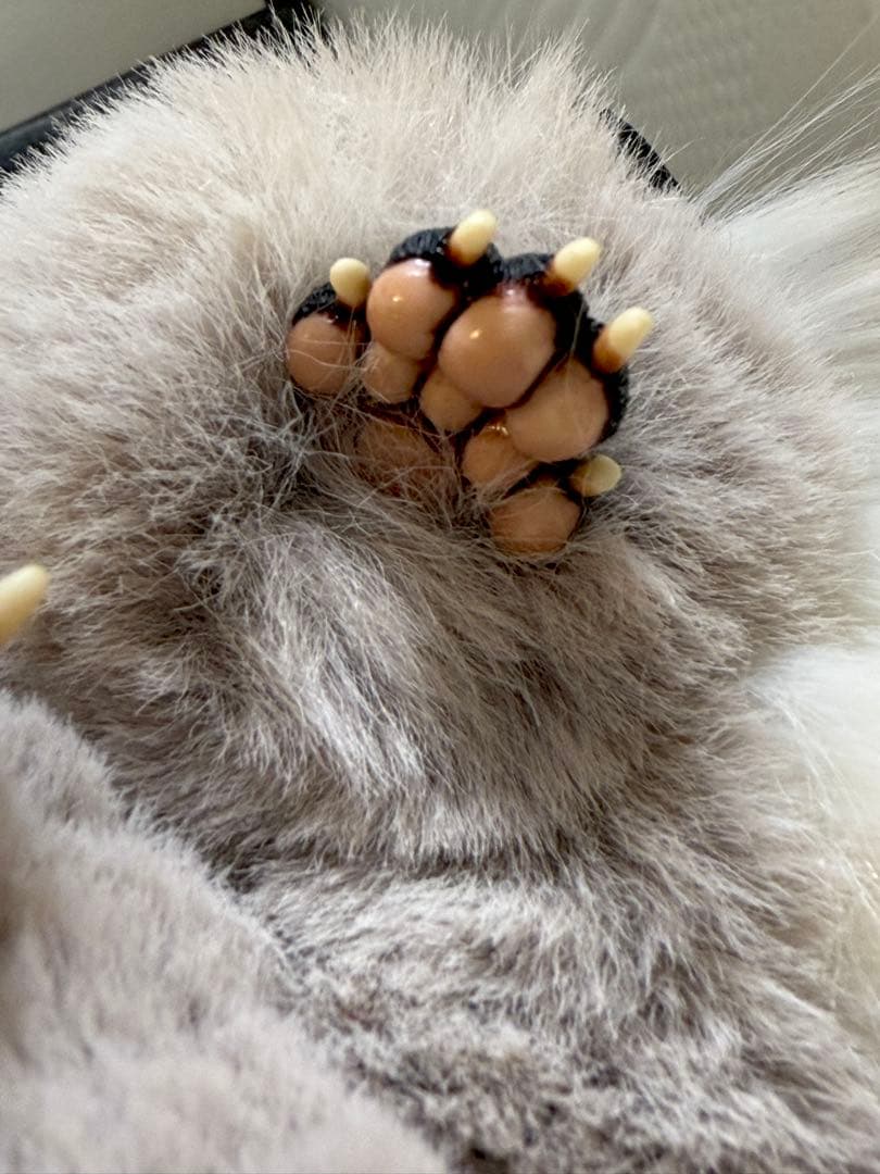 アートドール ハンドメイド 幻獣 海外作家 グリフィン フクロウ ぬいぐるみ