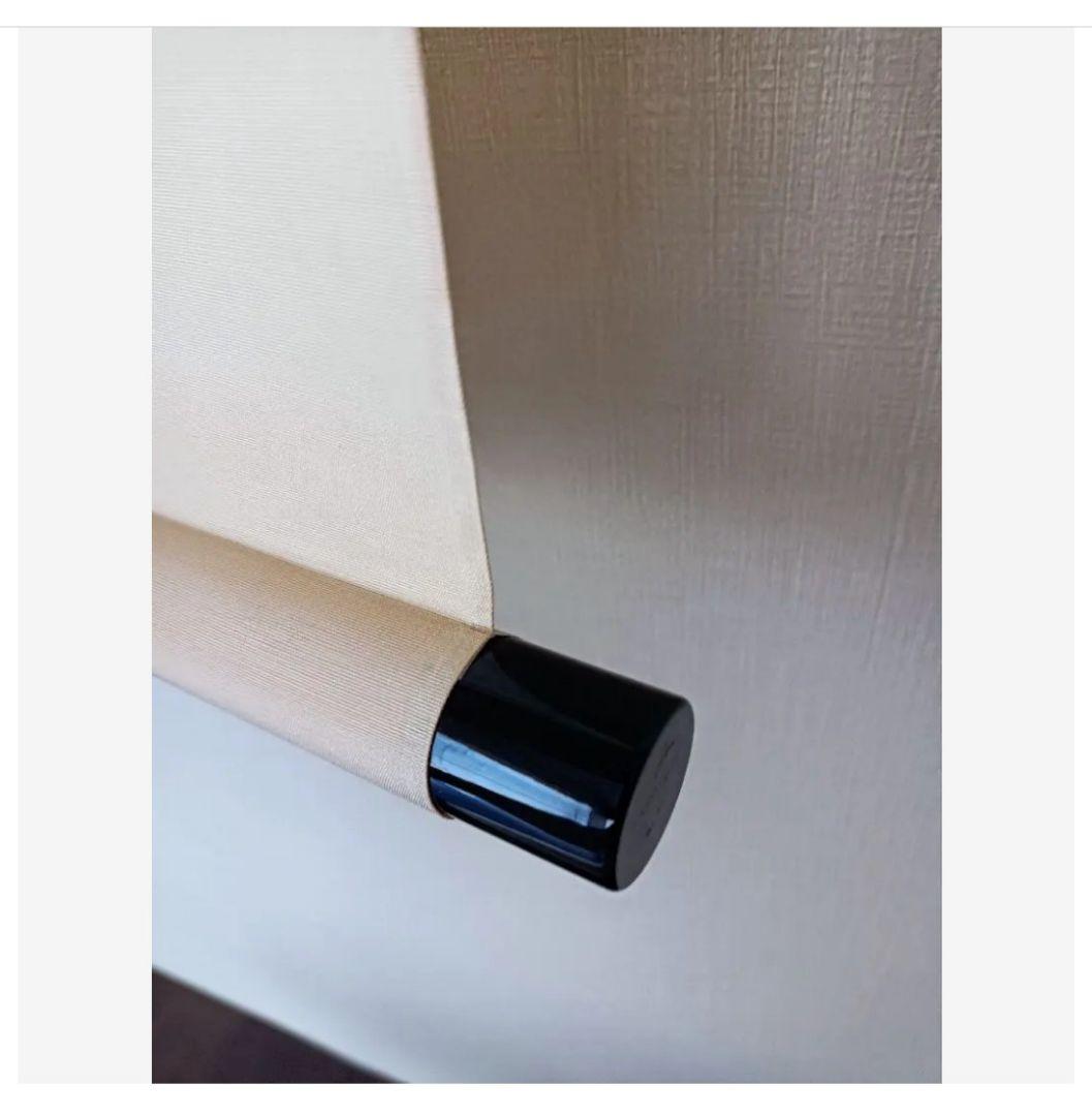 秀芳 幸せを運ぶ☘ルリビタキ桜椿画 共箱付き 花鳥 掛け軸 茶 和室 インテリア