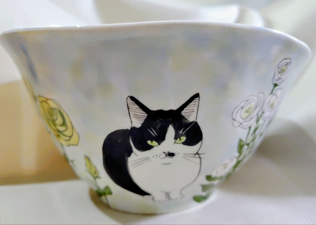 清水直子　猫　どんぶり　2