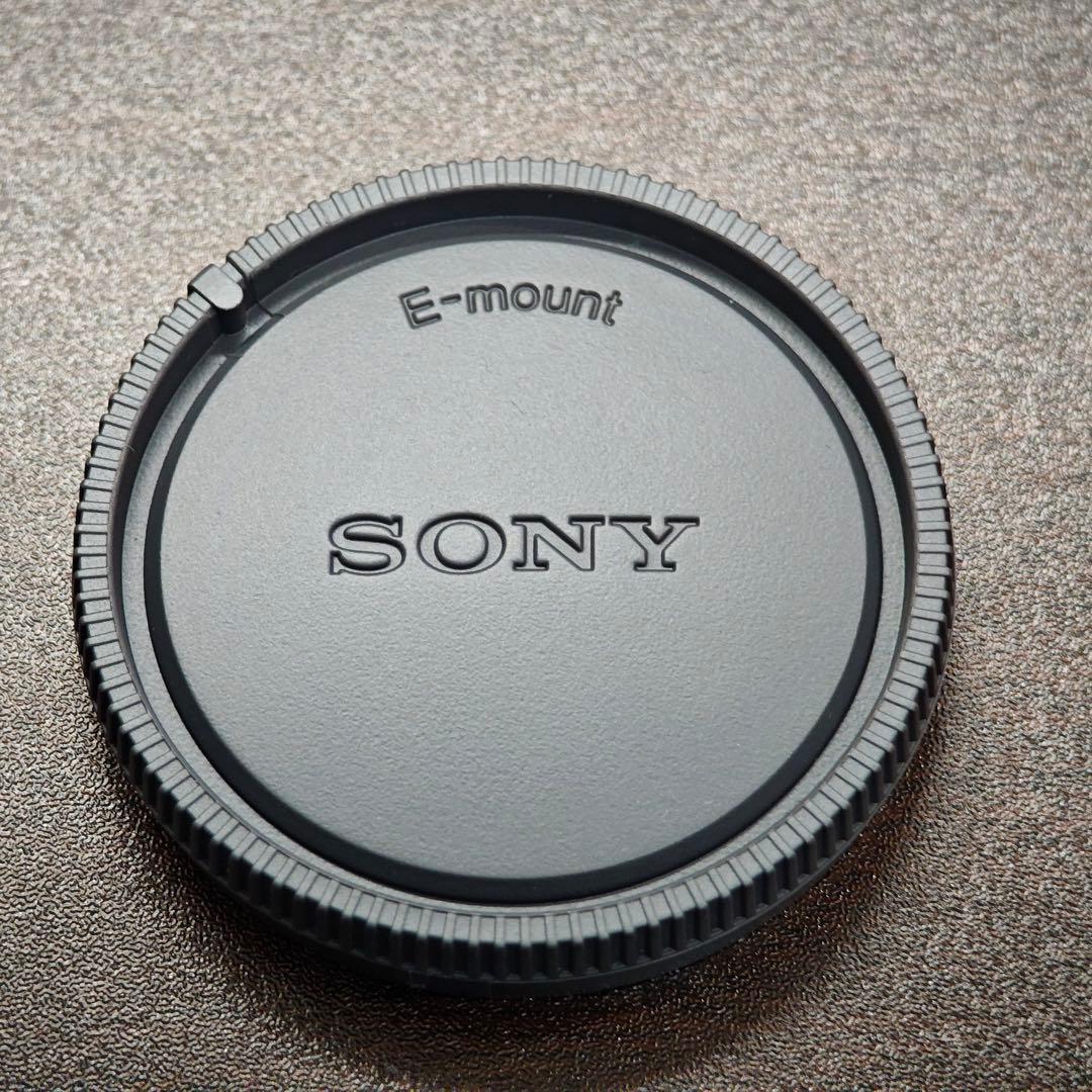 【美品】SONY ソニー E 20mm F2.8 SEL20F28 付属品完備
