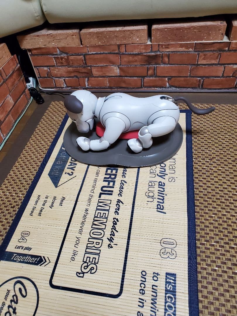 その他 aibo
