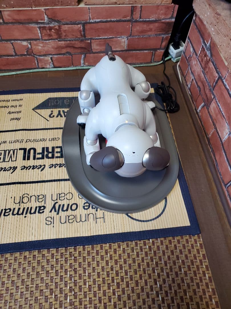 その他 aibo