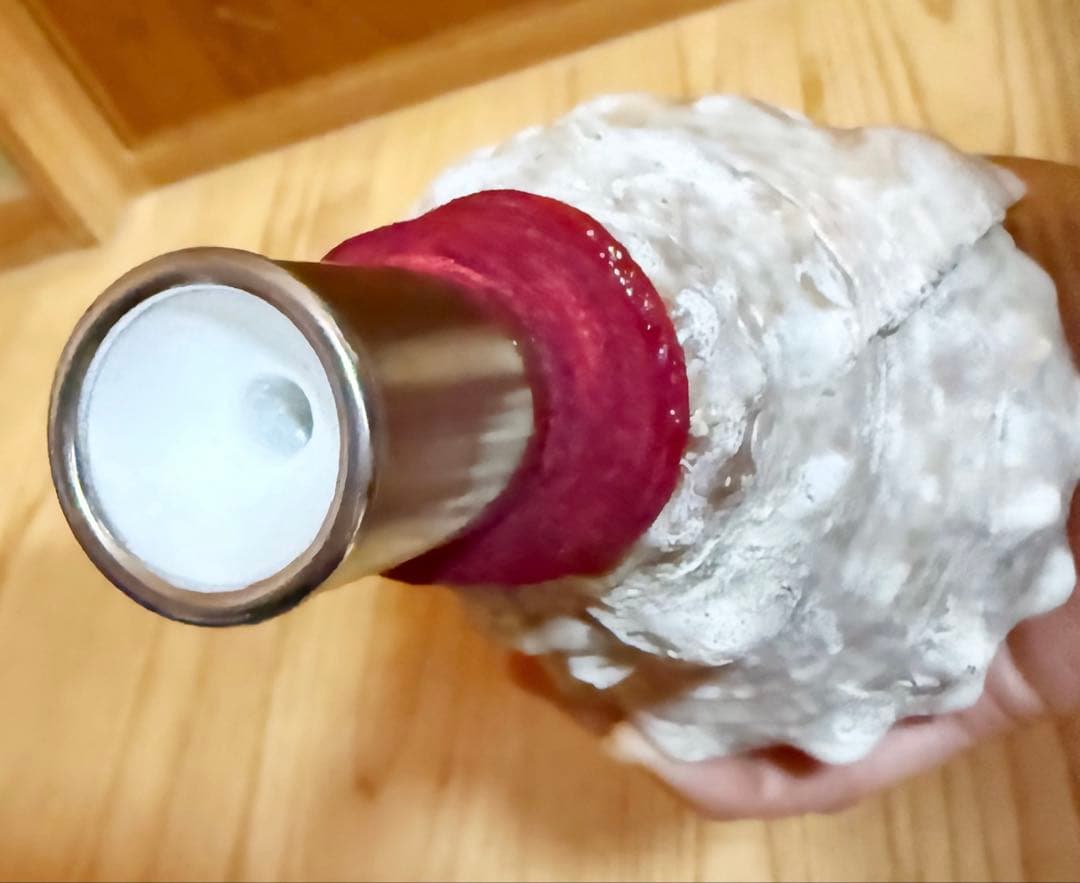 ミニ法螺貝　ほら貝　ホラガイ❣️