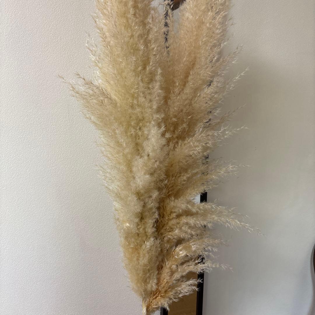 パンパスグラス ドライフラワー ガラス花瓶 セット プラスパンパス2半サービス