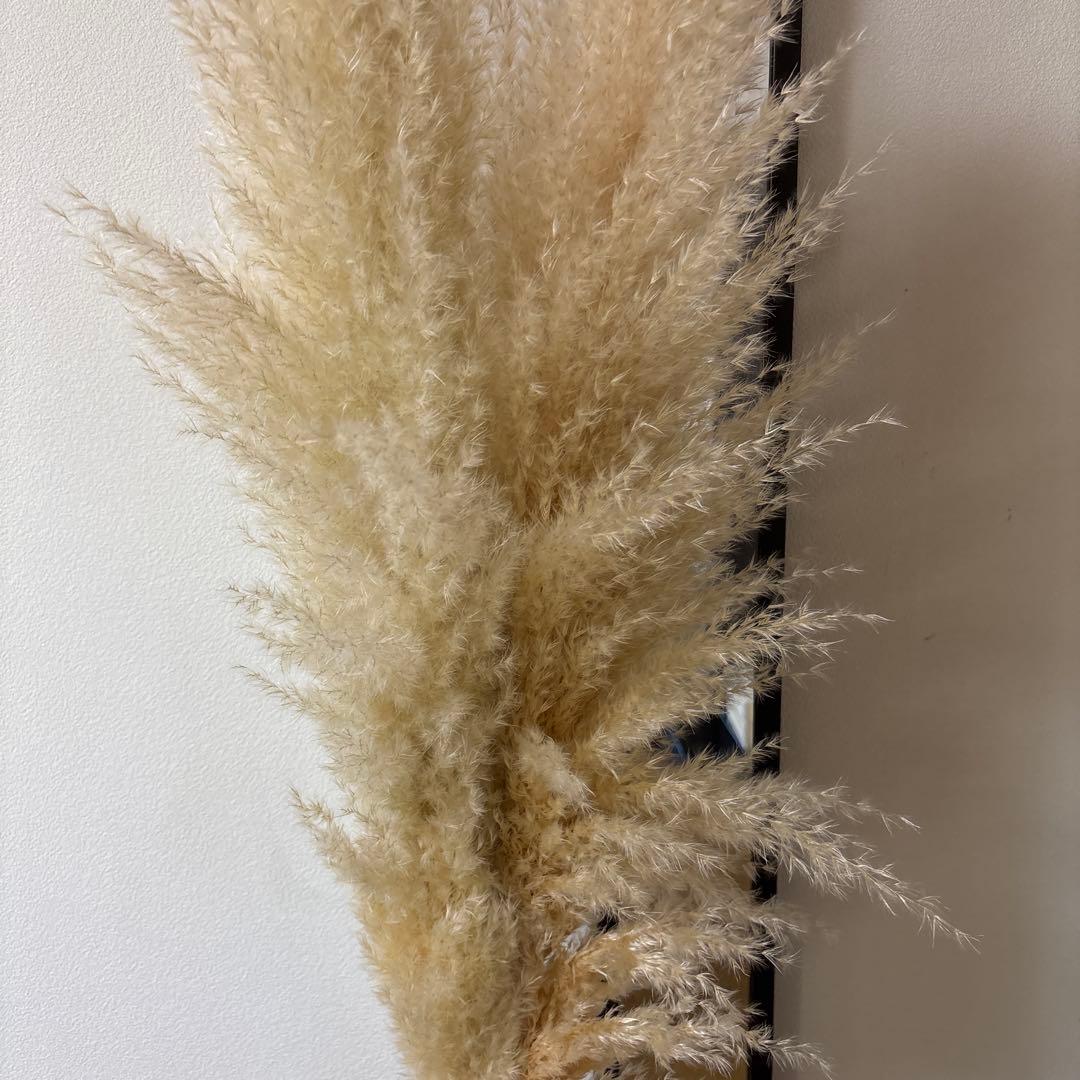 パンパスグラス ドライフラワー ガラス花瓶 セット プラスパンパス2半サービス