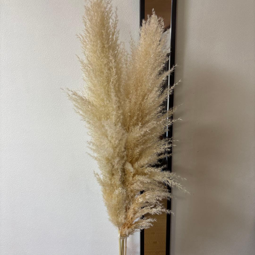 パンパスグラス ドライフラワー ガラス花瓶 セット プラスパンパス2半サービス