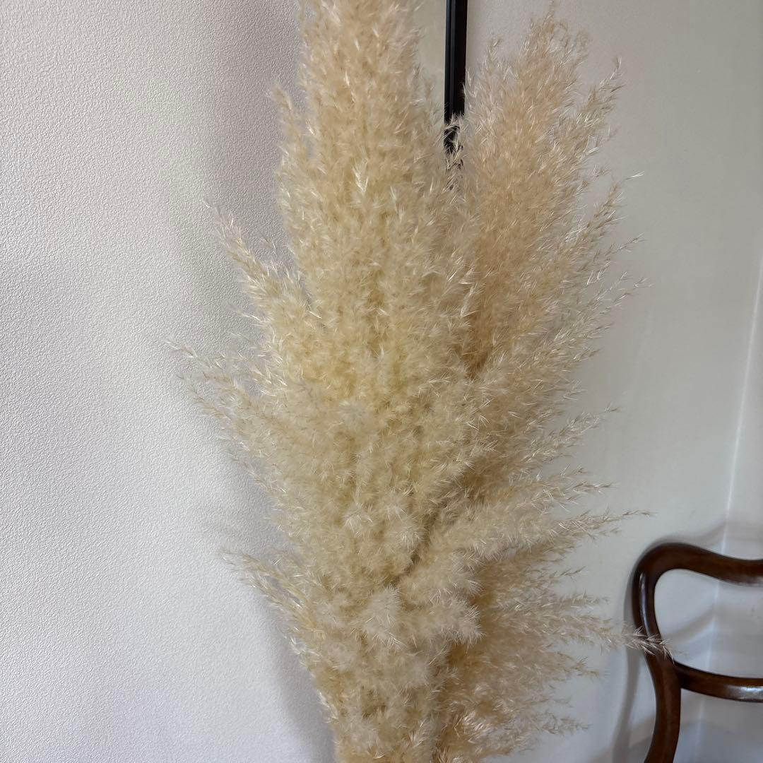 パンパスグラス ドライフラワー ガラス花瓶 セット プラスパンパス2半サービス