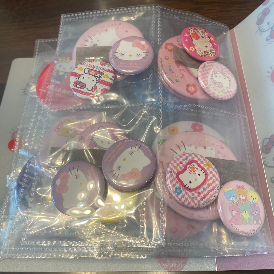 サンリオ 缶バッジセット 収納ケース付き 73枚+おまけ