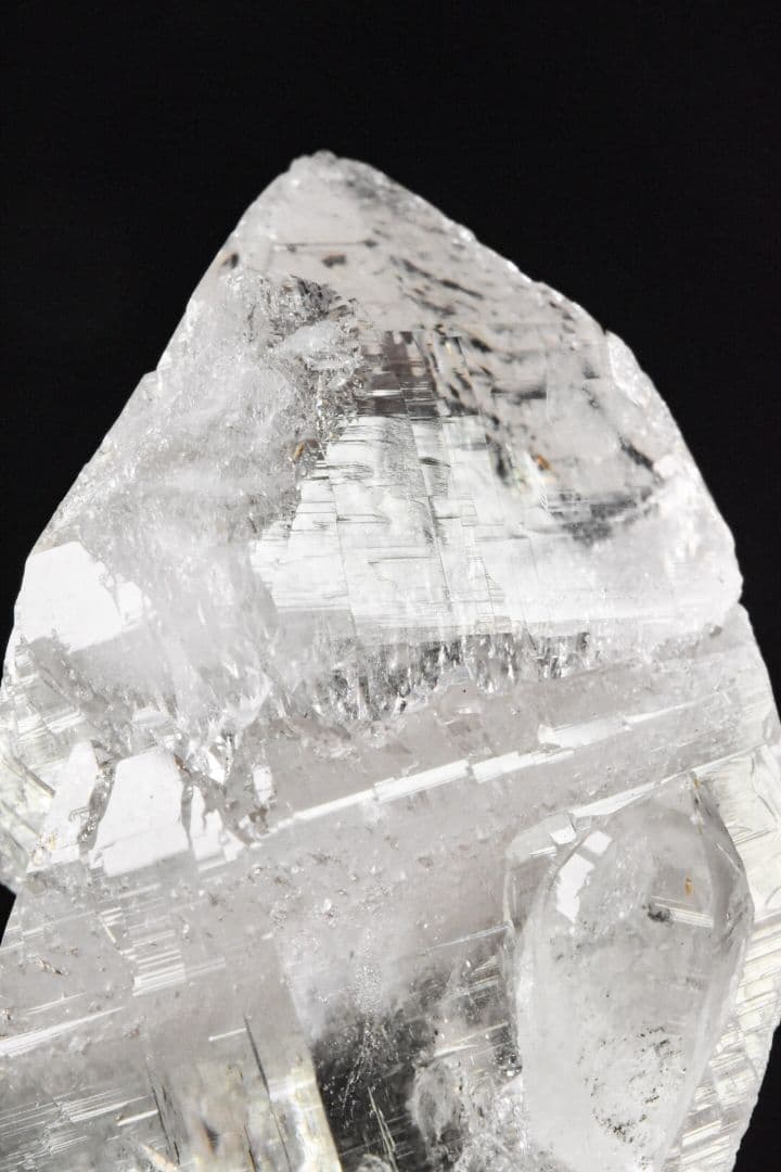 ガネーシュヒマール産 ２段再成長ポイント