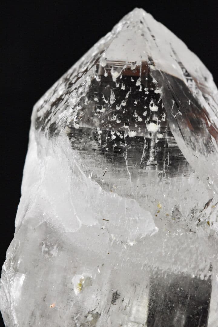 ガネーシュヒマール産 ２段再成長ポイント