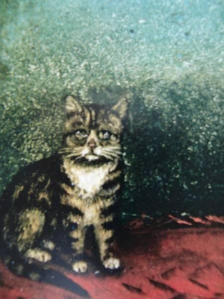 希少画集画、高級新品額・額装付、猫 ネコ ねこ cat、絵画 油彩画 動物画64