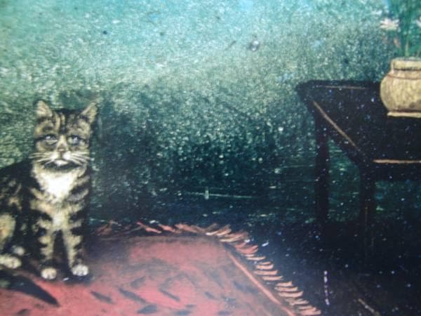 希少画集画、高級新品額・額装付、猫 ネコ ねこ cat、絵画 油彩画 動物画64