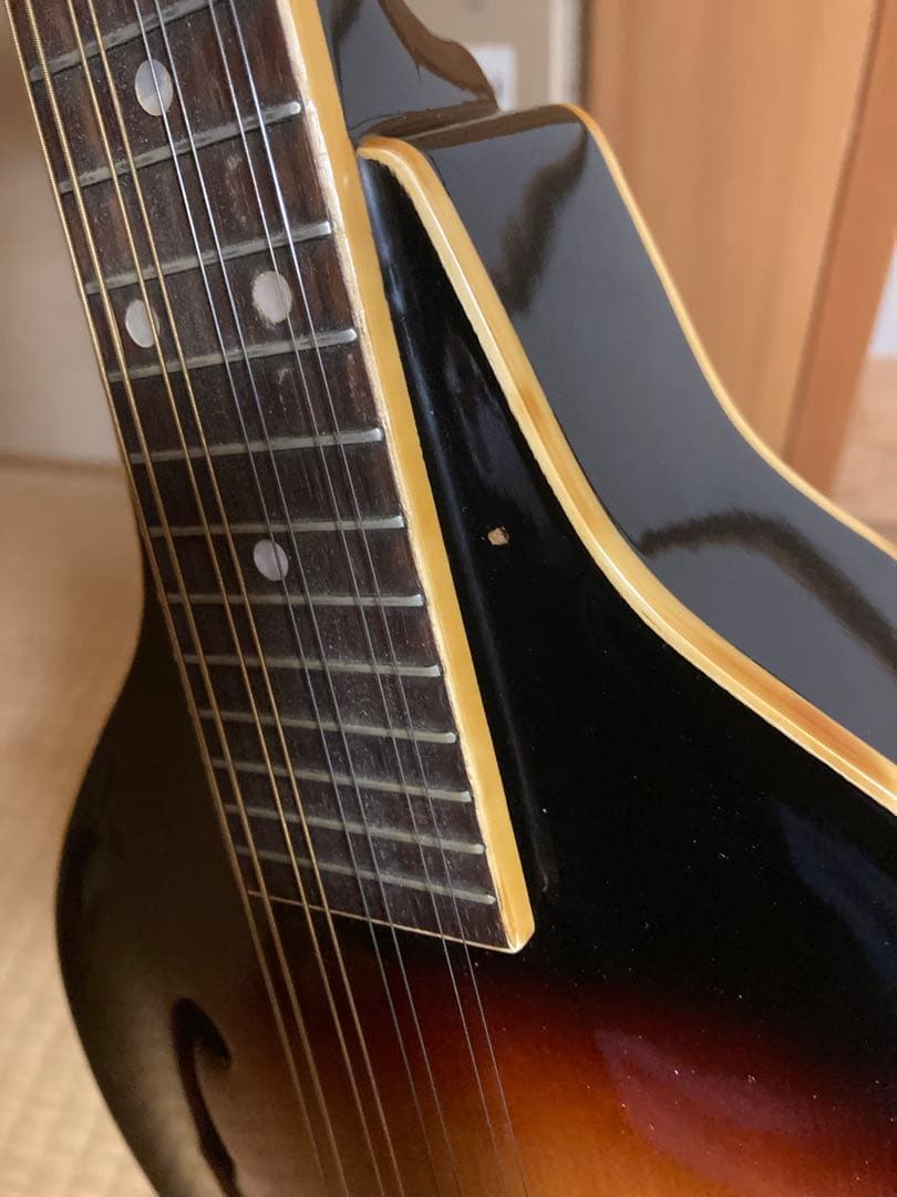 JUMBO ジャンボ JM-50 フラットマンドリン