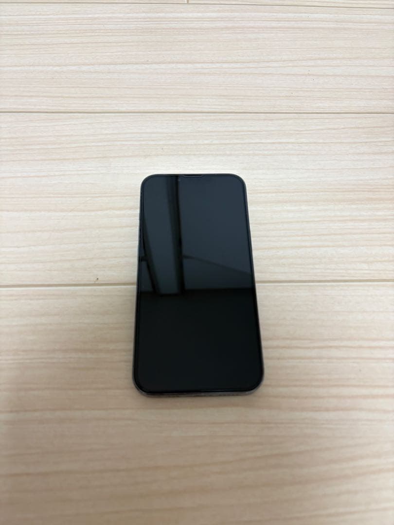 iPhone 13 Pro 1TB シエラブルー 即購入不可
