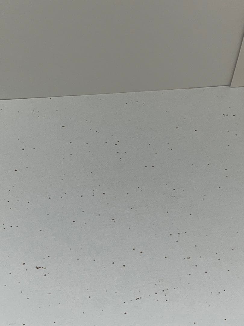 最終値下げ！ラウジッツァーグラス 花瓶