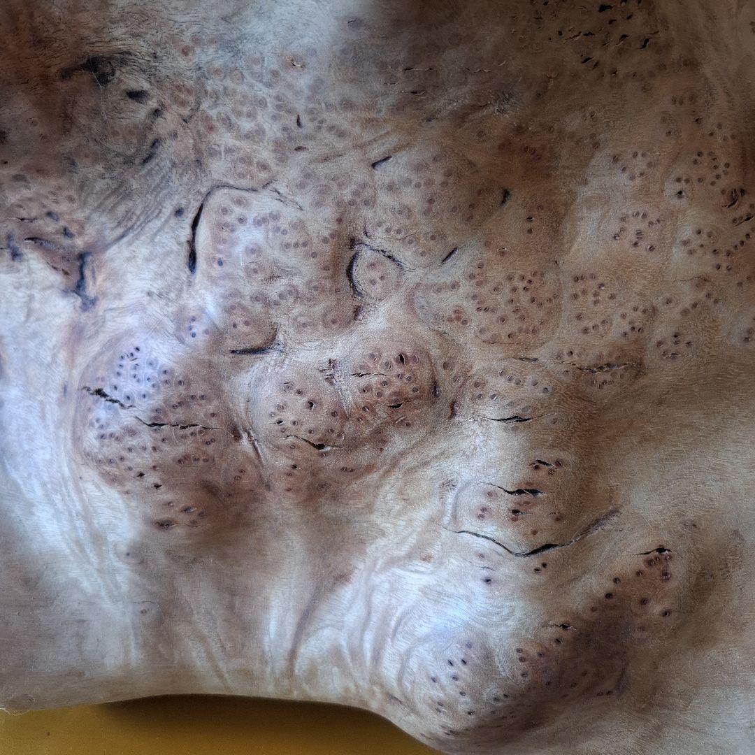 置物　オブジェ　楠の木株　祠ほこら　珍株　スマホスピーカー