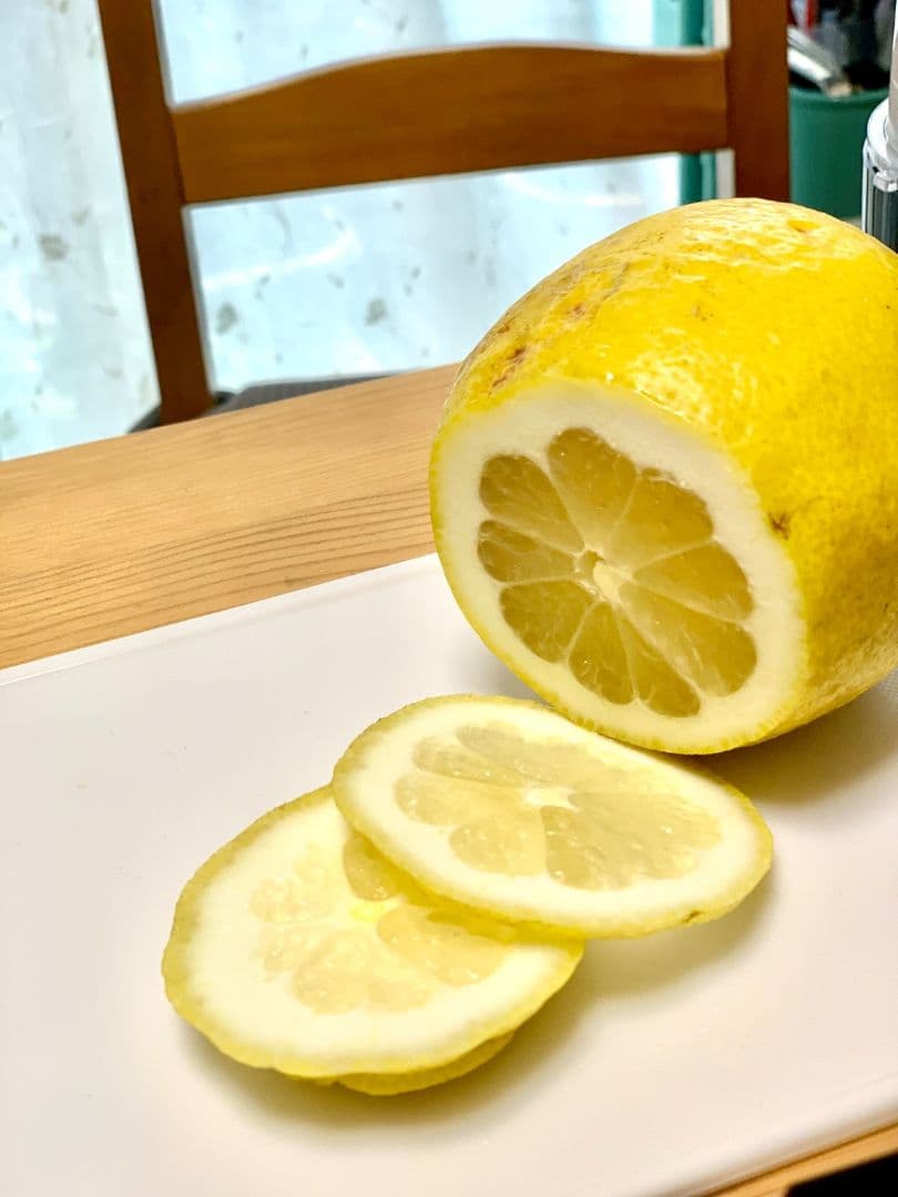 蒸留機