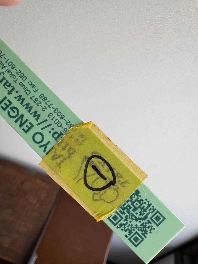 洋ラン 原種 キロキスタ ナコンパノメンシス ① 蘭