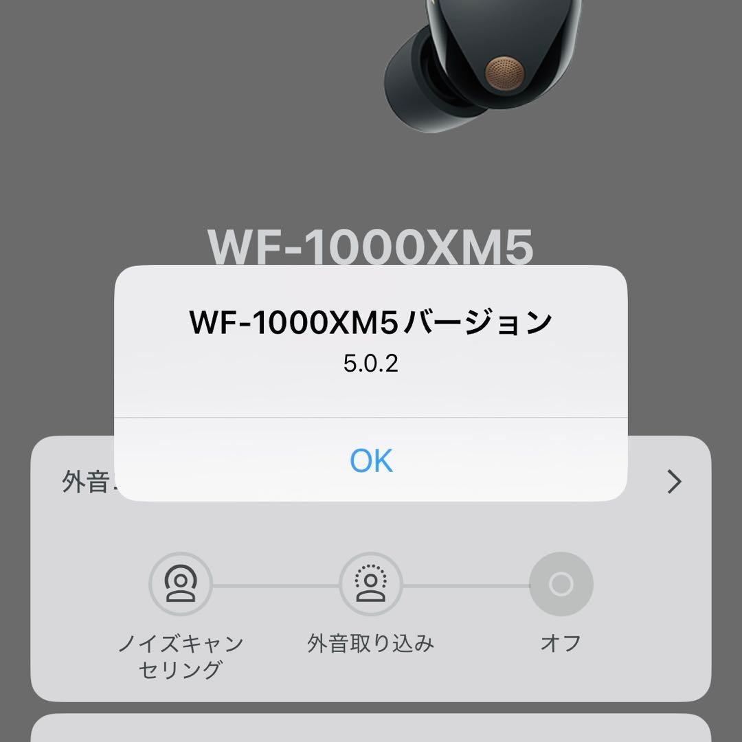 SONY 完全ワイヤレスイヤホン L 左耳のみ WF-1000XM5 ブラック