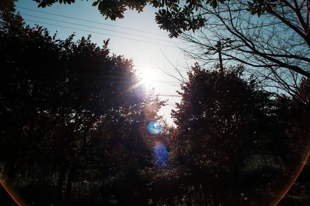 【整備＆テスト】オリンパス Zuiko auto-w 24mm F2.8 301