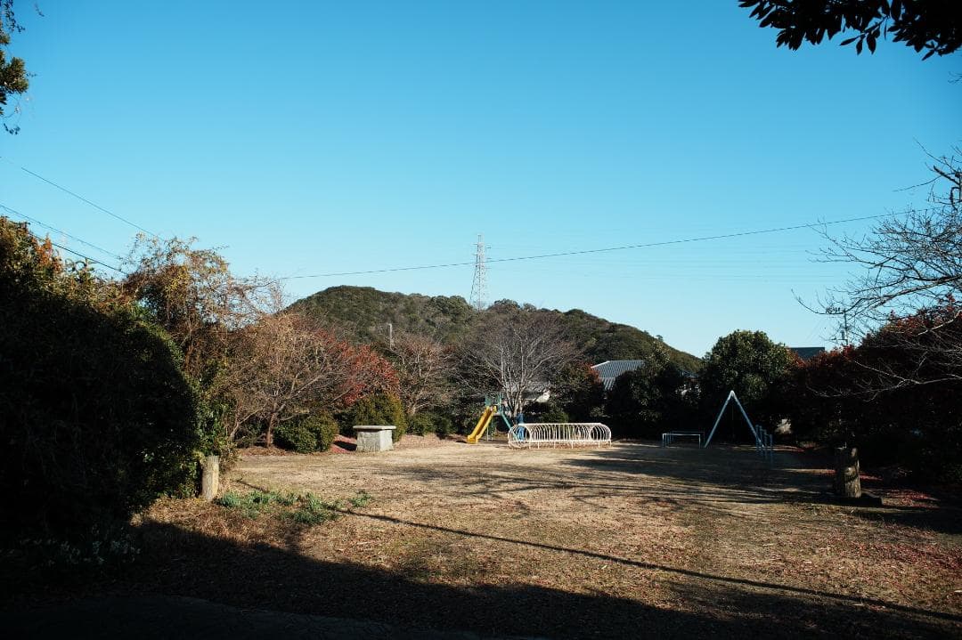 【整備＆テスト】オリンパス Zuiko auto-w 24mm F2.8 301