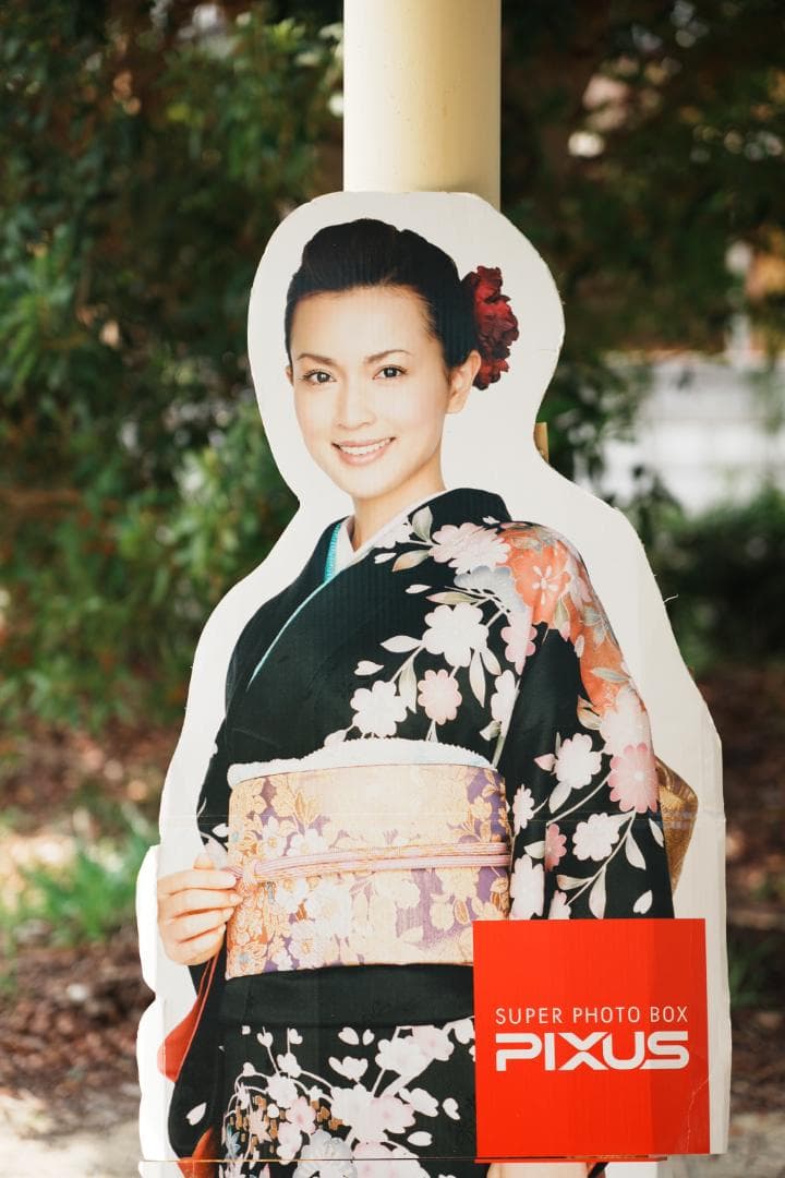 プロが選ぶ旅行最適レンズ SONY SEL24105G 美品 万能レンズ 207