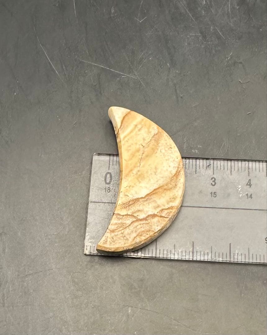 2026.3.23no.2三日月の絶景　新潟産上質ピクチャースートン