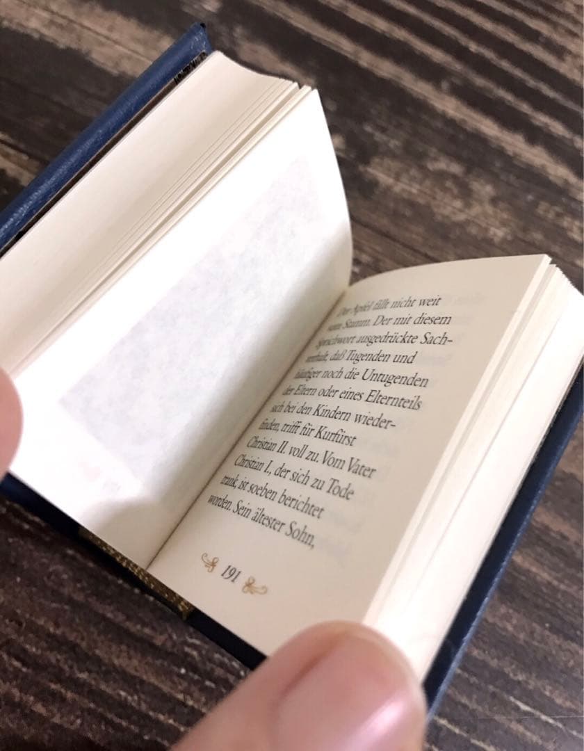 【超希少レア】 Meissen マイセン 諸侯の行進 １００周年　ミニチュア本