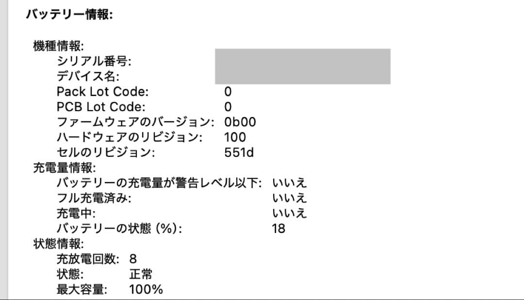 【新品同様】MacBook Air M4 16GB 256G バッテリー100%