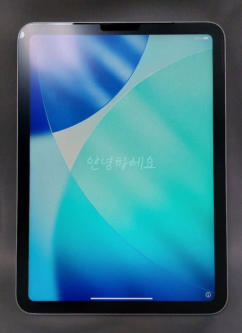 iPad 10世代 64GB WiFi シルバー Apple Pencil