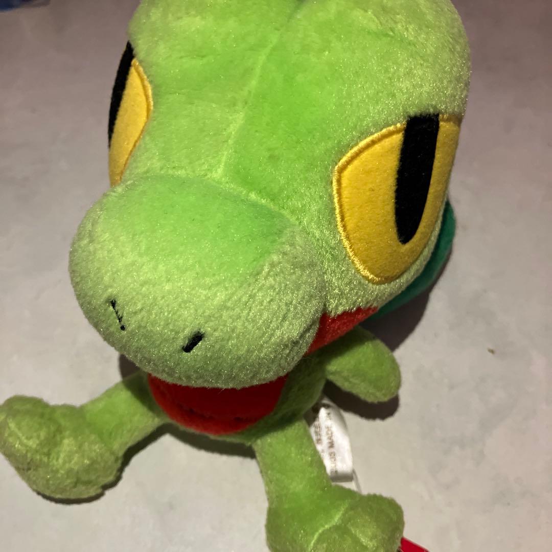 ポケモン　キモリ　ポケドール　ぬいぐるみ