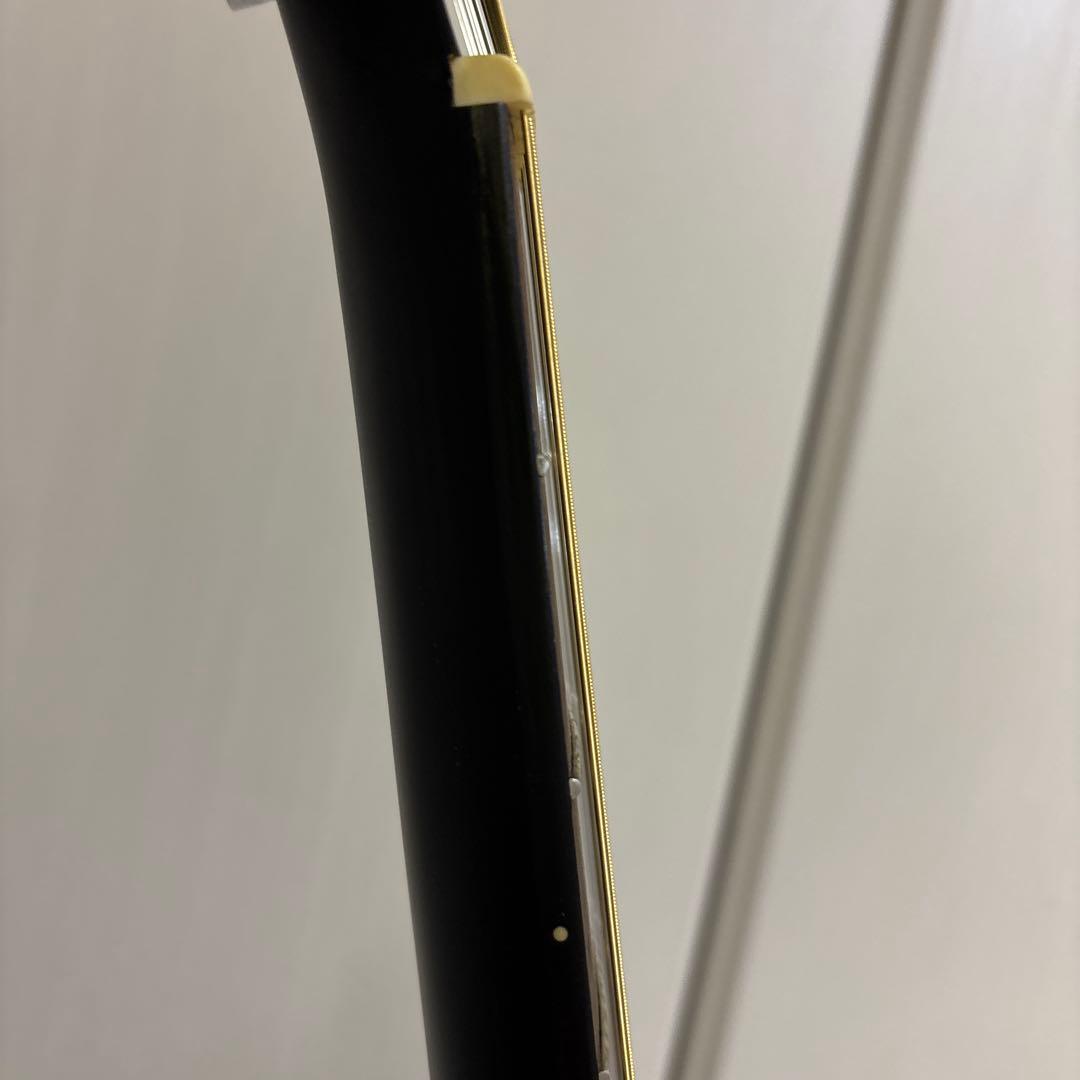 Ovation オベーション セレブリティ CC165 12弦ギター　弦新品です