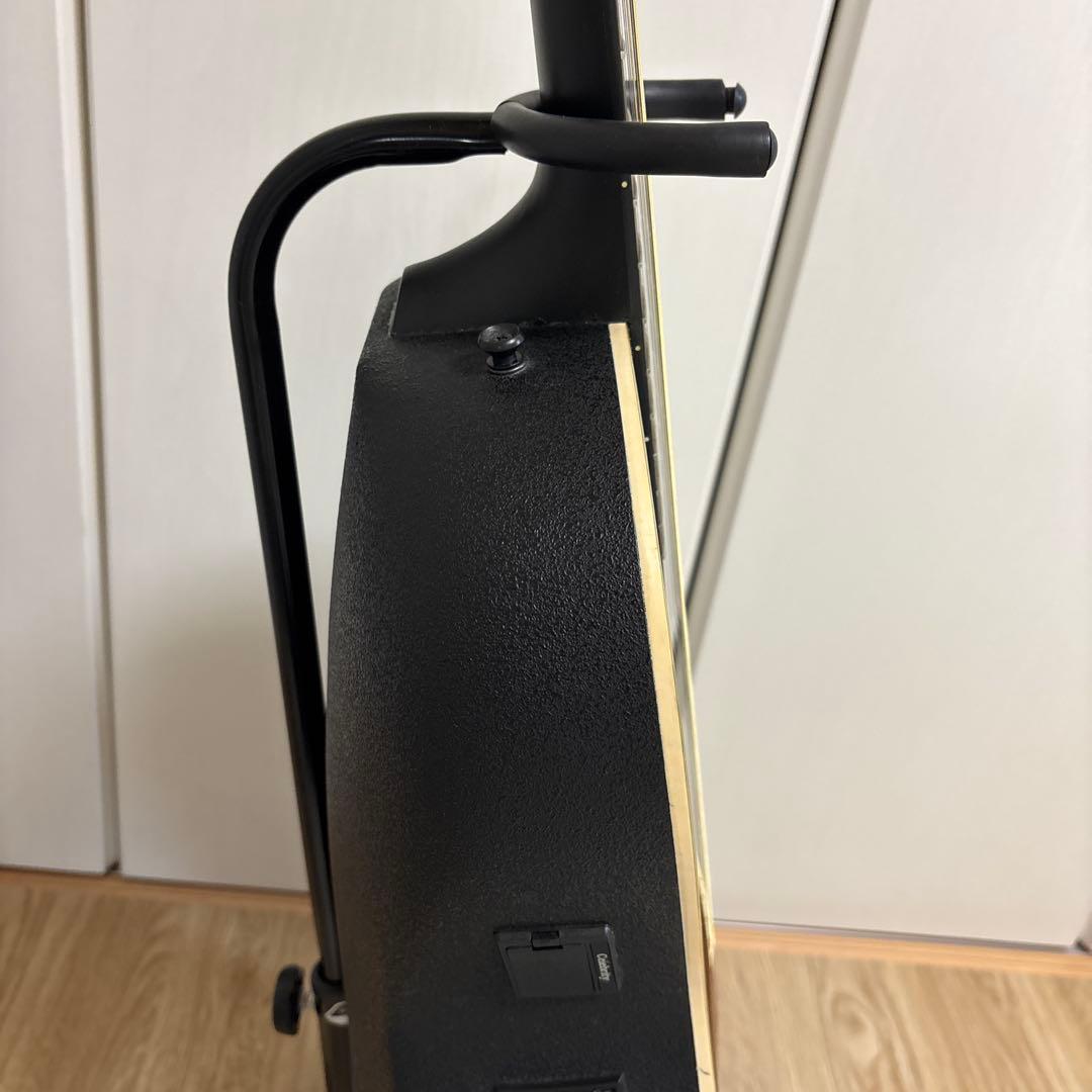 Ovation オベーション セレブリティ CC165 12弦ギター　弦新品です