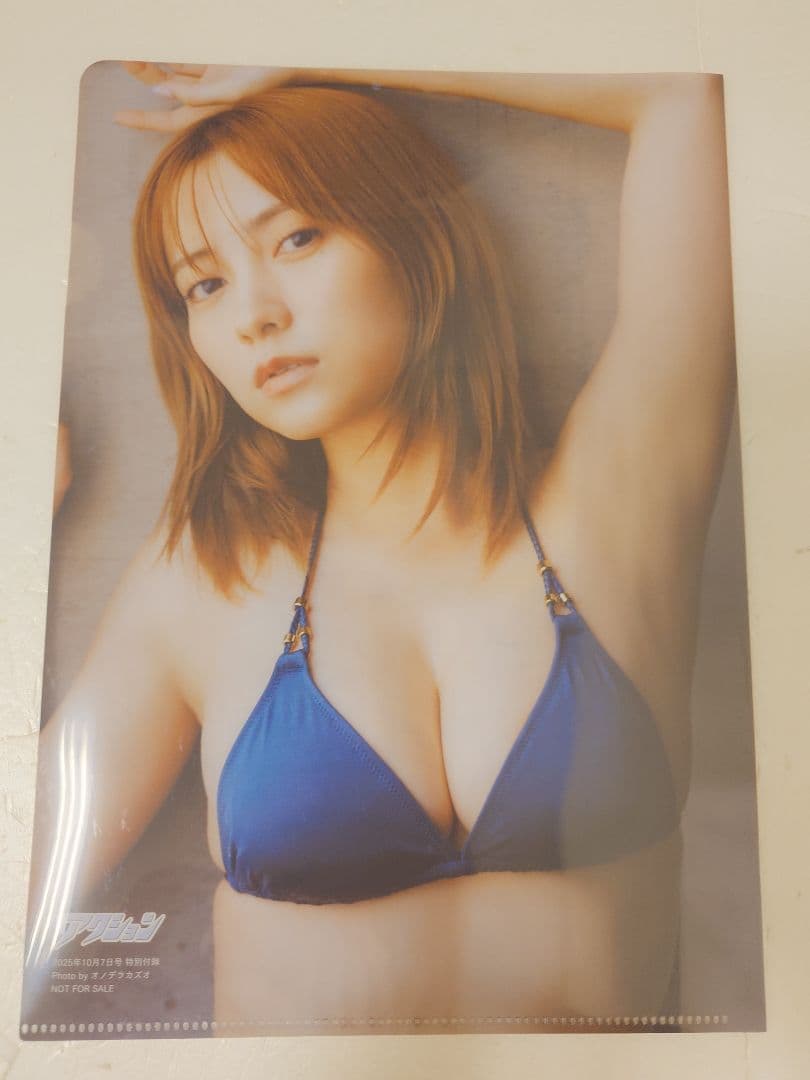 【直筆サイン入り3点含む5点：本＆限定生写真等】桃月なしこさん表紙漫画アクション