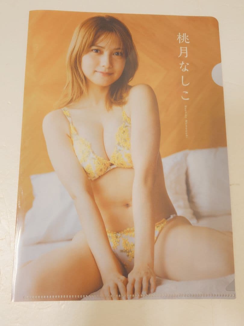 【直筆サイン入り3点含む5点：本＆限定生写真等】桃月なしこさん表紙漫画アクション