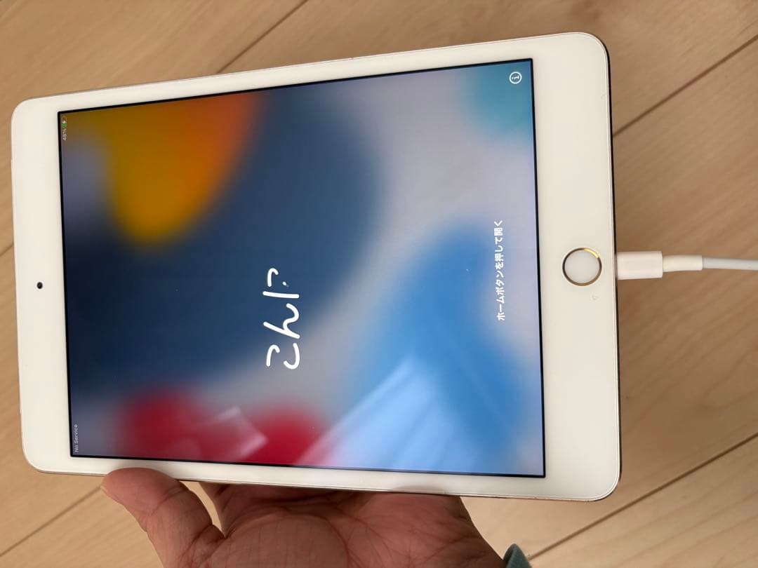 iPad mini 4 128GB Cellularモデル(docomo)