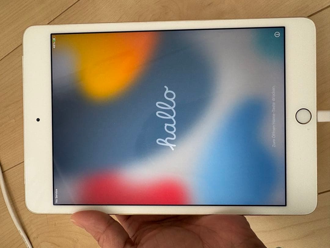 iPad mini 4 128GB Cellularモデル(docomo)