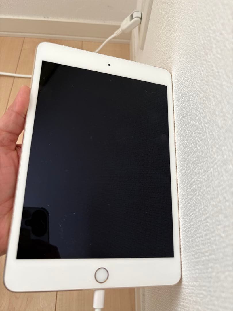 iPad mini 4 128GB Cellularモデル(docomo)