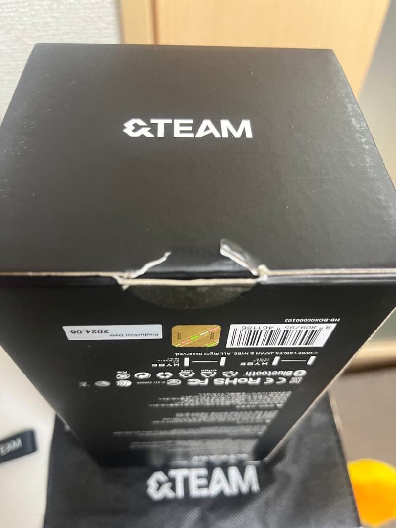 &TEAM ペンライト ストラップ フォトカード付き