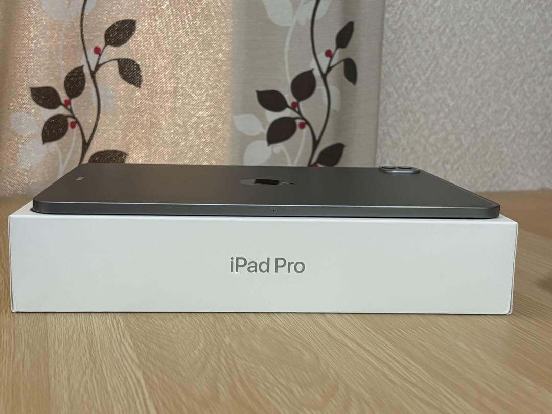 iPad Pro (第4世代) 11インチ 128GB バッテリー100%