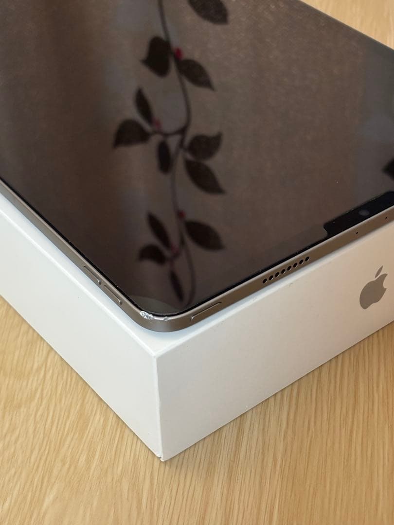 iPad Pro (第4世代) 11インチ 128GB バッテリー100%