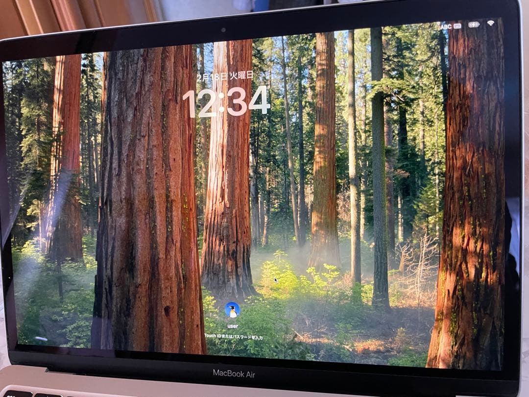 M1 MacBook Air 8GB/1TB シルバー