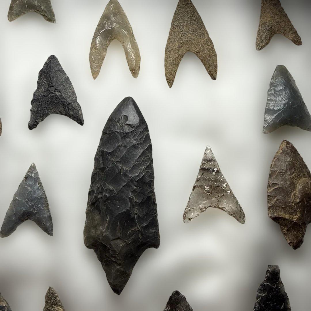石製矢じりコレクション 縄文　やじり　矢尻　石器