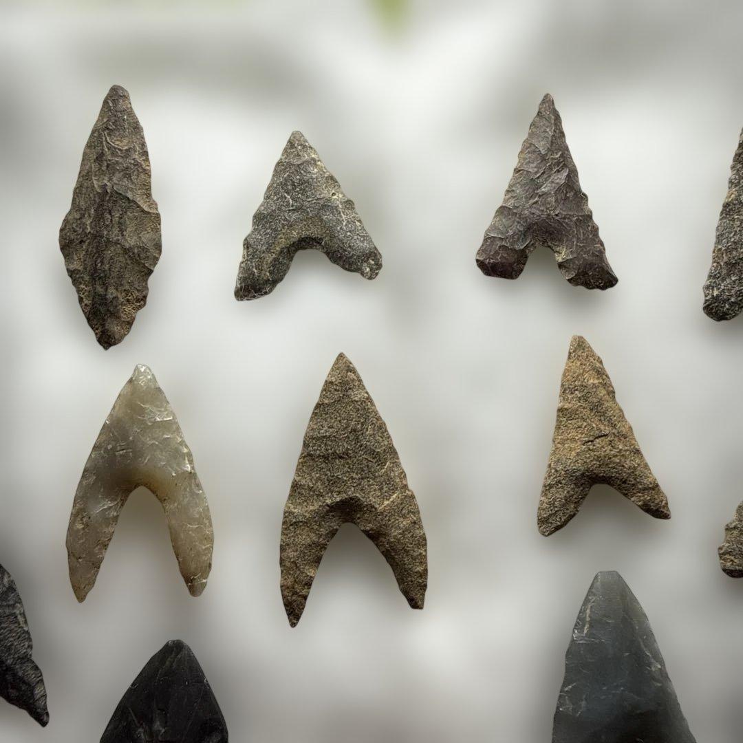 石製矢じりコレクション 縄文　やじり　矢尻　石器