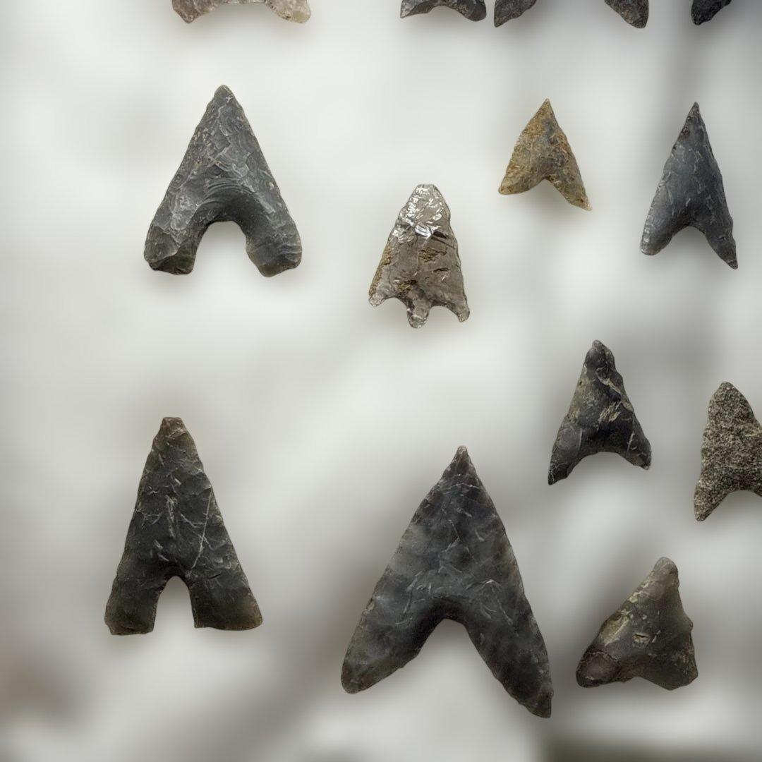 石製矢じりコレクション 縄文　やじり　矢尻　石器