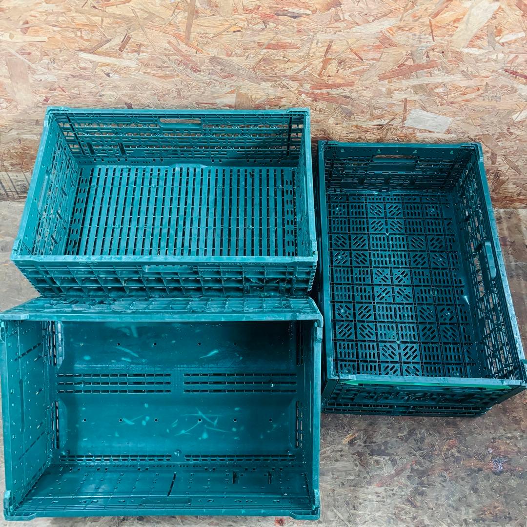 折り畳みコンテナ　10個セット　中古　野菜　果物　アウトドア　オリコン　折りコン