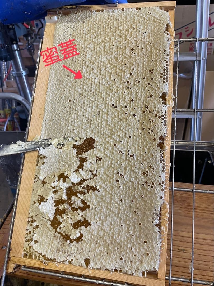 国産天然蜜蝋　ミツロウ　2KG 扱いやすいビーズ型